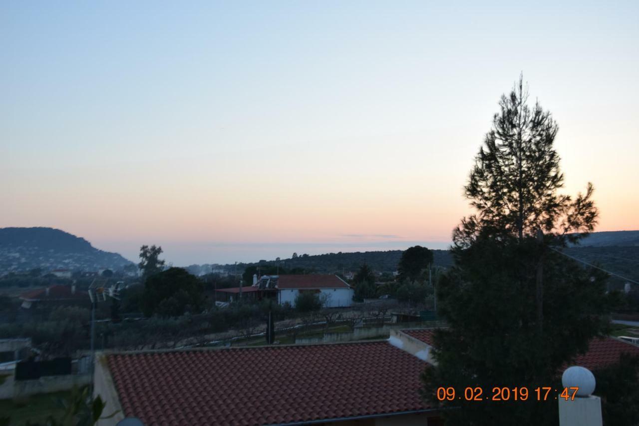 Villa Filoxenia All Seasons, Near Airport, Sea, Athens Agia Marina  Eksteriør bilde